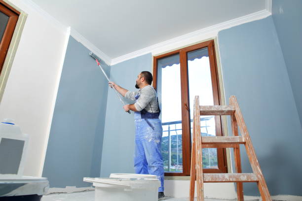 Best Drywall Removal and Disposal  in Lebanon, MO