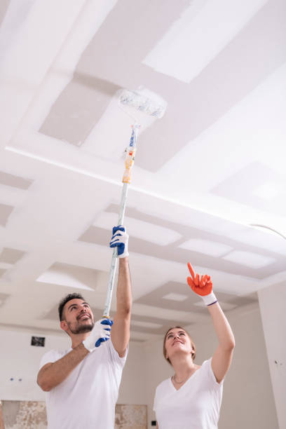 Best Ceiling Drywall Installation  in Lebanon, MO